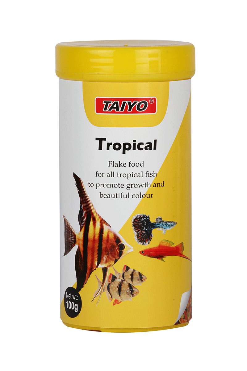 All clearance tropical fish